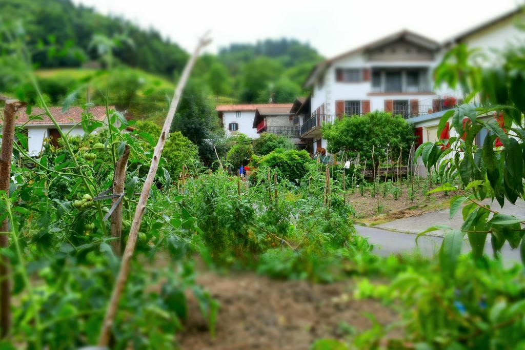 Anikuenea Apartamento Goienta Zalain ภายนอก รูปภาพ